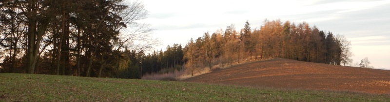 Kalamajka z Chlumu