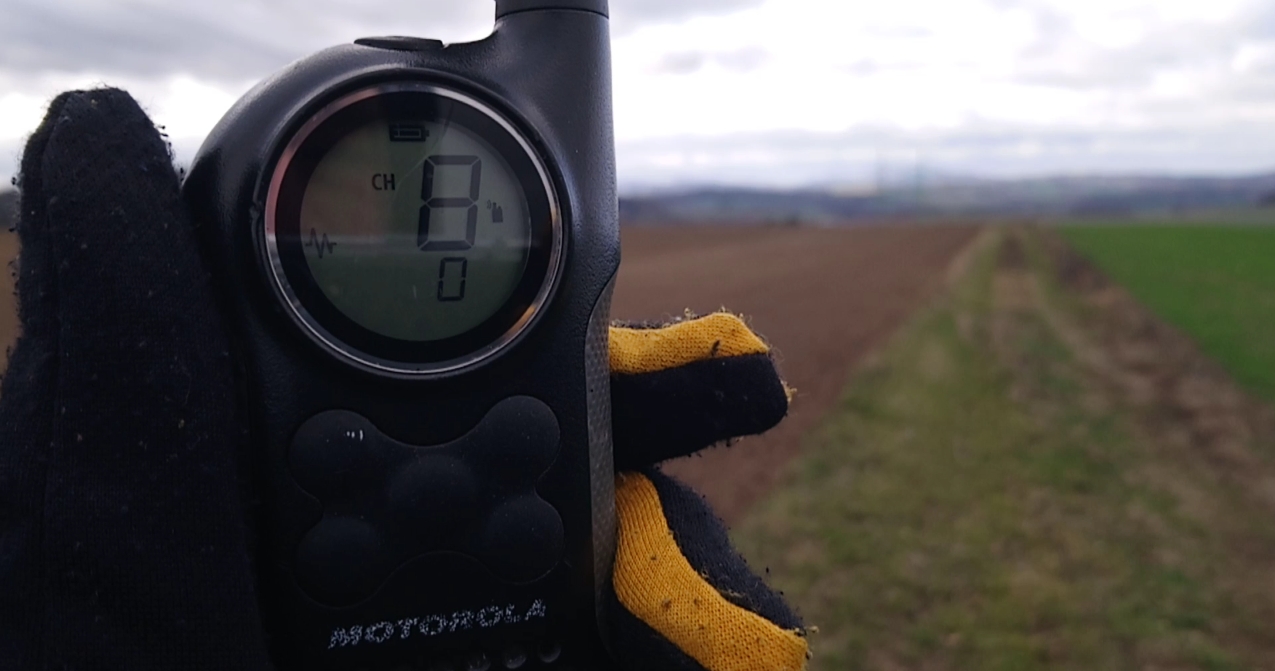 Motorola T6