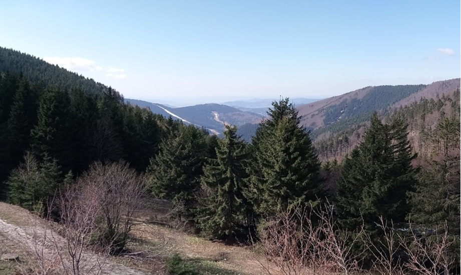 Červenohorské sedlo