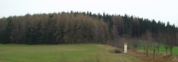 Křížová cesta Načeradec, Holý vrch